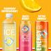 Sparkling Ice Water Zero Sugar - Classic Lemonade - Pack of 12 - 17 Fl Oz. - Buy Online on GoSupps.com