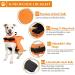 SUNFURA Small Orange Dog Shark Life Jacket | Ripstop Vest for Swimming Pool | Rescue Handle & Superior Buoyancy | Pet Preserver for Boating - Buy Online on GoSupps.com