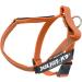 Julius-K9 Mini Orange-Grey Belt Harness S - Durable & Stylish Dog Harness for Optimal Comfort | International Shipping - Buy Online on GoSupps.com