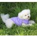 Joydaog Winter Dog Jacket - Lined Fleece Windproof & Soft Puppy Vest in Violet Size M - Ideal for Cold Weather - Buy Online on GoSupps.com