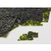 Dongwon Seaweed Snack Wasabi (2 Pack) - 21.6g | International Shipping Available - Buy Online on GoSupps.com