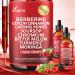 14-in-1 Berberine with Ceylon Cinnamon Supplement Liquid Drops 1800mg + 30:1 Liposomal Tech with Cayenne Pepper Soursop Chromium Bitter Melon Moringa Turmeric Glucomannan 2 Bottles