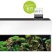 Juwel Aquarium Digital Thermometer 3.0 - Black & Transparent | Accurate Temperature Monitoring for Aquariums - Buy Online on GoSupps.com