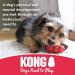 KONG Goodie Bone: Durable Rubber Chew Dog Toy - Medium Size - Buy Online on GoSupps.com