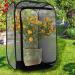 Makluce N/P Large Monarch Butterfly Habitat Mini Cage Mini Plant Greenhouse Insect And Butterfly Cage Pop-up Collapsible Insect Mesh Cage With Zipper Protection For Easier Clean judicious - Buy Online on GoSupps.com