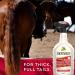 Absorbine ShowSheen Hair Polish and Mane & Tail Detangler 950ml Spray Bottle - Buy Online on GoSupps.com