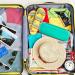 Buy Boobowl Travel Case for Philips Sonicare & Oral-B Toothbrush - Durable Storage Bag (Green) - International Shipping Available - Buy Online on GoSupps.com
