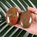 Buy Xiannvxi 2.4'' Unakite Crystal Palm Stone for Worry Relief | Natural Polished Gemstone for Reiki Healing & Massage - International Shipping Available - Buy Online on GoSupps.com
