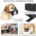 Buy Heele Dog Muzzle Adjustable & Comfortable Dog Muzzle for Safe Training & Travel - International Shipping Available - Buy Online on GoSupps.com