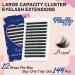 Crislashes D Curl 12mm Cluster Eyelashes - 144 Fluffy & Wispy Extensions for Home Use - Reusable Manga Lashes - Buy Online on GoSupps.com