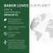 Babor Detoxifying Cleansing Foam with Glycerin & Rosemar - Daily Facial Cleanser - Buy Online on GoSupps.com