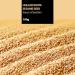 Hulled White Sesame 100g Source of Protein Sesame Seeds 100g (Pack of 1) - Buy Online on GoSupps.com