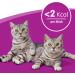 Buy Whiskas Cat Snacks Crunchy Pockets with Chicken & Cheese - 6 Pack (432g) - International Shipping Available - Buy Online on GoSupps.com