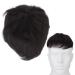 Short wig for men short wig for men natural black hair extension hair loss hair attachments for men