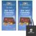 GHIRARDELLI Sea Salt Caramel Dark Chocolate Squares Bar 4.8 oz Bar (Pack of 2) Bundle With Snack Scout Lunch Bag