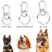 Jovitec 3 Sets Dog Tag Clip Durable Dog ID Tag with Rings for Dogs and Cats Collars Harnesses - Buy Online on GoSupps.com