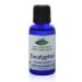 Eucalyptus (Eucalyptus Globulus) Essential Oil - 100% Pure Natural & Kosher - 1 fl oz Bottle