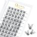 Eyelashes Individual quewry individual eyelash cluster lashes 72stck.D curl mix8-16 eyelash segments wide foundation individual eyelashes for eyes make-up diy eyelash extensions (honey 02-d-mix) 1 piece (1 Pack) Honey 02-D mix 8-16mm