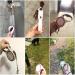 Hycyyfc 3/5m Extendable Dog Leash - Comfortable Roller Leash for Small & Large Dogs Adjustable Training Line for Puppies & Cats in Brown - Buy Online on GoSupps.com