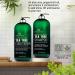 Botanic Hearth Tea Tree Shampoo and Conditioner Set - Vegan Collagen, Pure Tea Tree Oil, Sulfate & Paraben Free - For Itchy, Dry Scalp - 16 fl oz - Men and Women - Buy Online on GoSupps.com