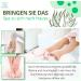 Kosmetex Wellness Aloe Vera Paraffin Bath - Relaxing Hand & Foot Treatment | 10x 500ml Paraffin Wax for Warmers - Buy Online on GoSupps.com