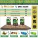 Wellution Hemp Gummies 2000000 XXL High Potency - Fruity Hemp Oil Gummy Bears - Buy Online on GoSupps.com