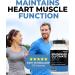 Renew Actives Magnesium Bisglycinate Supplement - 120 Capsules - Buy Online on GoSupps.com