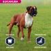 Eukanuba Dog Dry Food Boxer Chicken 12kg - Buy Online on GoSupps.com