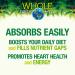 Natural Factors Whole Earth & Sea Men's Multivitamin & Mineral - 60 Tablets for Optimal Health - Buy Online on GoSupps.com