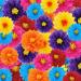 Mexican Paper Flowers Colorful Fiesta Paper Flowers Tissue Paper Flowers Mexican Carnival Paper Flowers for Floral Party Backdrop Wedding Birthday Party Craft Wall Decor  6 8 10 (18 Pieces)