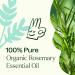 Buy Plant Therapy Organic Rosemary Essential Oil 100% Pure | USDA Certified Organic Aromatherapy | Undiluted & Therapeutic Grade 100 mL - Buy Online on GoSupps.com