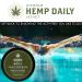 Hemp Daily Intensive Cream with Essential Oils - Vegan Organic 1.7 oz (2 Pack) | Original Triple Strength Formula - Buy Online on GoSupps.com