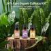 Violet Lily Honeysuckle Essential Oils Set 100% Pure Premium Grade Natural Fragrance Oil Gift kit for Diffusers Home Care Candle Making Fragrance Aromatherapy Humidifiers Violet + Lily + Honeysuckle 10.00 ml (Pack of 3) - Buy Online on GoSupps.com