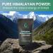 Organic Raw Shilajit Powder by Holistic Bin | Himalayan Wildcrafted Full Spectrum Extract | 100% Pure & Fillers-Free | Rich in Fulvic Acid and Trace Minerals (25 Servings) - Buy Online on GoSupps.com