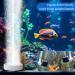 Forever Speed Aquarium Airstone 50mm - Ultra Silent Nano Air Stone for Enhanced Oxygen Levels in Home Aquariums - Buy Online on GoSupps.com