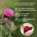 Buy Organic Mary Thistle Powder 1kg - Pure Silymarin for Liver Health | Best Medicinal Plant - Botanikils - Buy Online on GoSupps.com