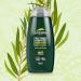 Buy Australian Tea Tree Deep Cleansing Skin Wash 250ml - Perfect for International Shipping Order 6 for Trade Pricing - Buy Online on GoSupps.com