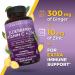 Viva Naturals Elderberry Immune Support Supplement - 120 Vegan Capsules for Immunity Boost - Buy Online on GoSupps.com
