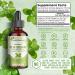 Naturments Oregano Oil Drops for Immune Support & Gut Health. Vegan, Non-GMO, Sugar Free & Gluten Free Organic Wild Mediterranean Oregano Oil with Organic Extra Virgin Olive Oil - 1 Fl Oz 30 Ml - Buy Online on GoSupps.com