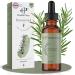 Health Press Huile de Romarin 60 ml Huile Naturelle pour Cuir Chevelu | Stimule la Croissance des Cheveux & R duit la Chute | Soin Capillaire & Peau Pour Tous Types de Cheveux
