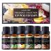 Fragrance Oils Collection - 6pc Gift Set for DIY Candle Making, Soap Scents, Diffusers - Sandalwood, Lilac & Lavender, Lemon Verbena, Jasmine & Ylang Ylang, Vetiver, Coconut - Top Picks for Soap 6-Pack | Soap Picks Organic…