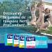 Nett ProComfort Stamp Digital SupPacks - 4 x 32 Pieces | Premium International Shipping - Buy Online on GoSupps.com