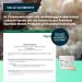 Buy Brandl Bio Lions Mane (Hericium erinaceus) - 800mg Hericium Powder | Vegan Additive-Free Mushroom Supplement | Bottled in Germany - International Shipping Available - Buy Online on GoSupps.com