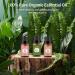 Neroli Lotus Lily Essential Oils Set 100% Pure Premium Grade Natural Fragrance Oil Gift kit for Diffusers Home Care Candle Making Fragrance Aromatherapy Humidifiers Neroli + Lotus + Lily 10.00 ml (Pack of 3) - Buy Online on GoSupps.com