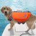 Vivaglory Light Lifeguard for Dogs | Skin-Friendly Neoprene Dog Swimming Vest for Large Dogs | D-Ring & Quick Lock | Orange L (64-71cm) - International Shipping Available - Buy Online on GoSupps.com