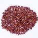 RAW HERB/JADI BOOTI SUBABUL SEEDS SAFED BABOOL BEEJ BABUL BEEJ LEUCAENA LEUCOCEPHALA (500gm) - Buy Online on GoSupps.com
