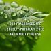 P&J Wedding Cake Fragrance Oil 30ml - For Soap, Candle, and Home Fragrance - Buy Online on GoSupps.com