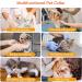 AllSopets Lightweight Cat Protective Collar - Soft Recovery Cone for Cats & Puppies After Surgery - Green - Buy Online on GoSupps.com