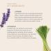 BODHI Body Scrub Lavender & Lemongrass - Organic & Vegan | 250 ml | 98% Natural Exfoliant for Glowing Skin - Buy Online on GoSupps.com