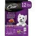 CESAR Small Breed Spring Vegetables Garnish Filet Mignon Dry Dog Food 12lb Pack - Best for Small Breeds - Buy Online on GoSupps.com